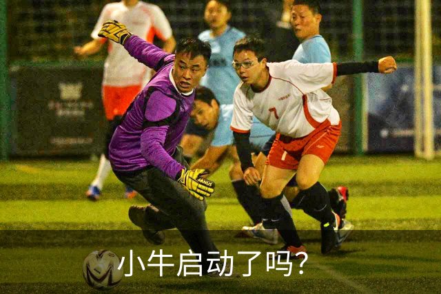 小牛启动了吗？